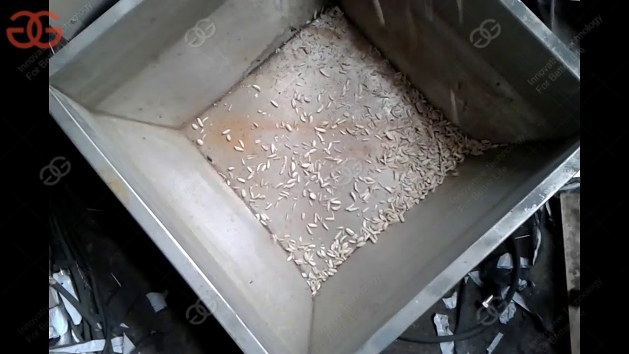 Best Commercial Peanut|Almond Strip Cutting Machine Price