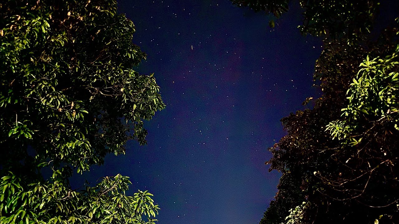 Can't Resist by Gabochaaan