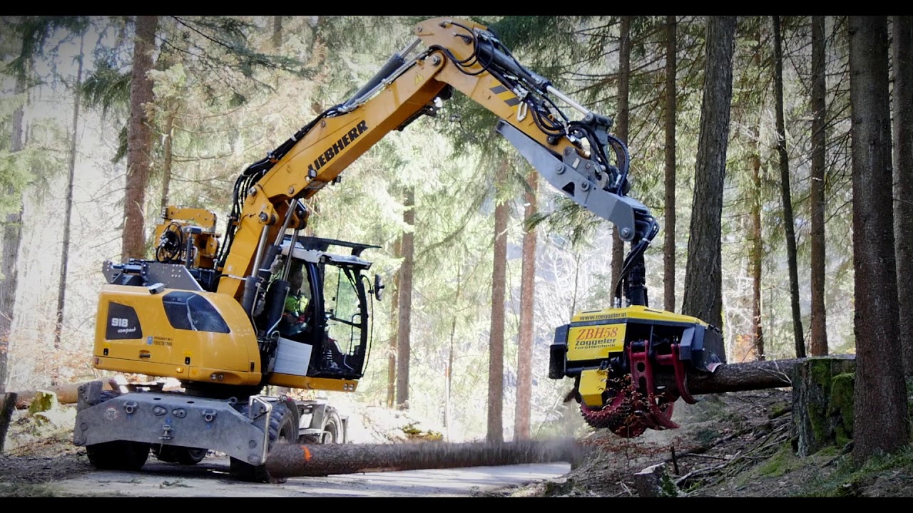 Waldarbeit im Wandel (Teil 2)