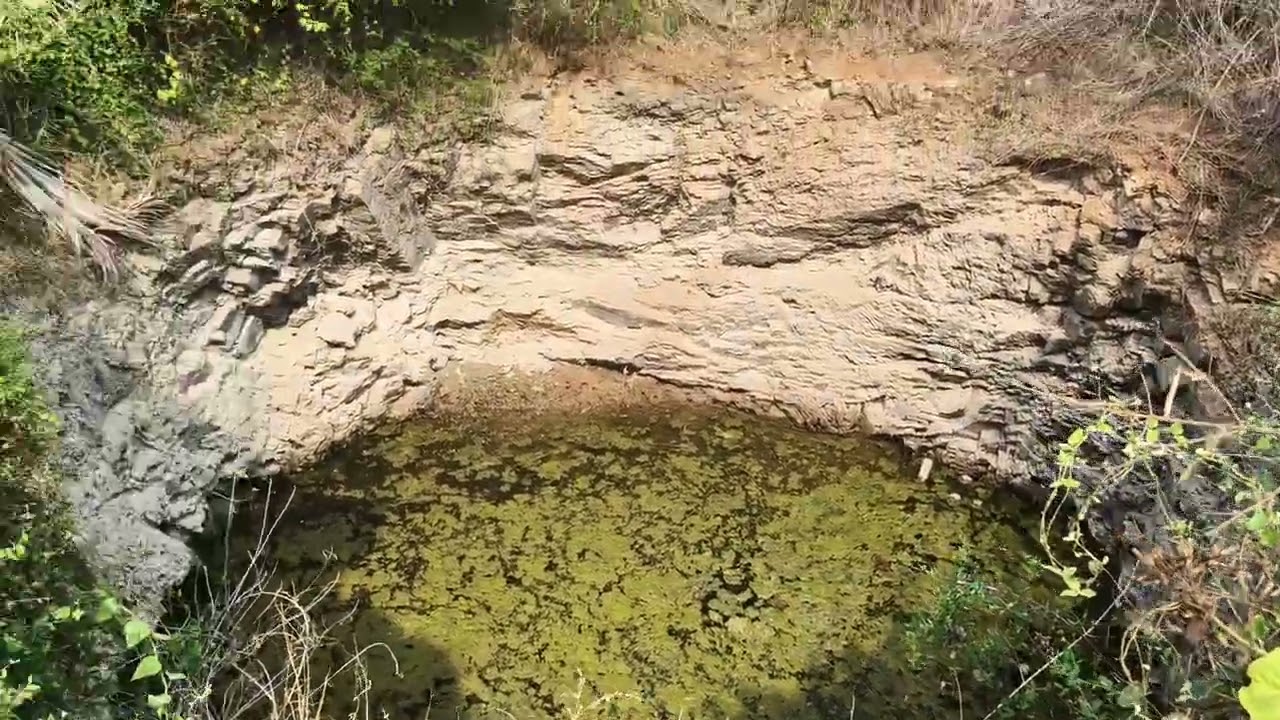 1ಎಕರೆ 9ಗುಂಟೆ ತೆಂಗಿನ ತೋಟ ಮಾರಾಟಕ್ಕಿದೆ. ಒಂದು ಎಕರೆಗೆ 65ಲಕ್ಷ ಆಸಕ್ತರು ಸಂಪರ್ಕಿಸಿ 9141577523 ಮಳವಳ್ಳಿ ತಾ 