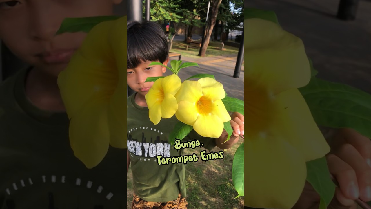 NGABUBURIT: Ayo, Tebak Bunga🌼🌷#anakanak #bunga #bermainsambilbelajar #jalan  #ngabuburit #shorts