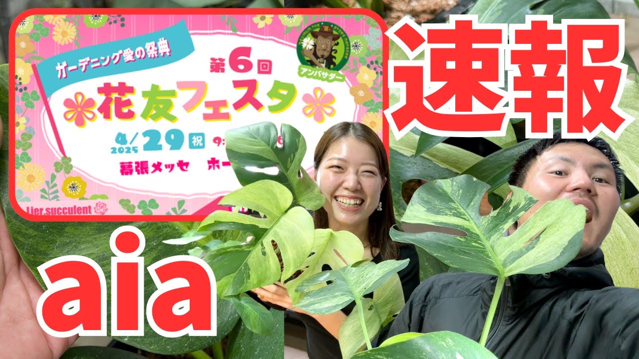 【緊急】花友フェスタ2025直前！aiaさんからイベントセール情報、特別販売される株などなど！！！花友行くなら絶対行ってください！【観葉植物】