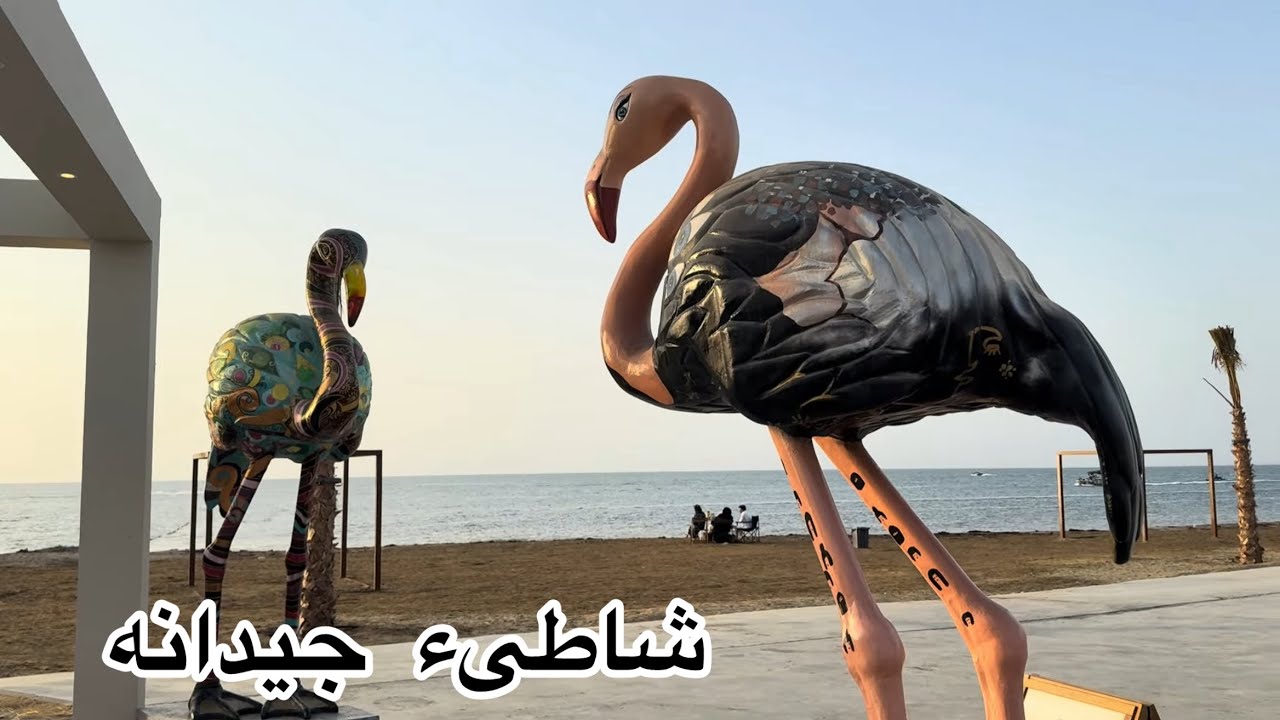 جوله في شاطىء جيدانه الجديد 