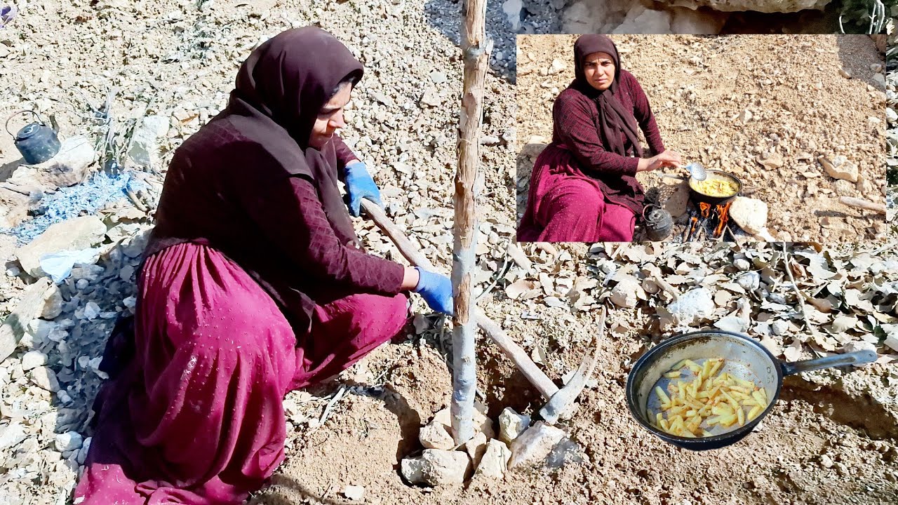 Ms. Mahtab is left alone in the mountains; she builds a shelter with sticks and cooks for herself.
