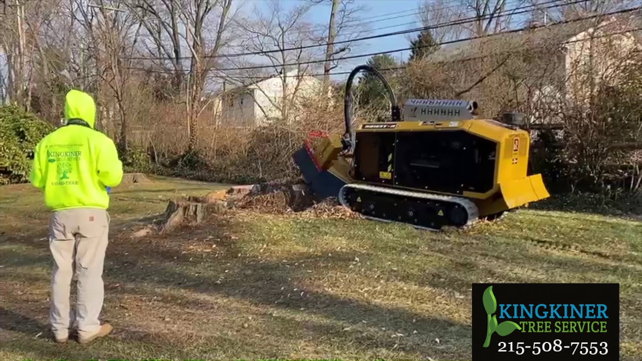 Remote Controlled Stump Grinder in Action