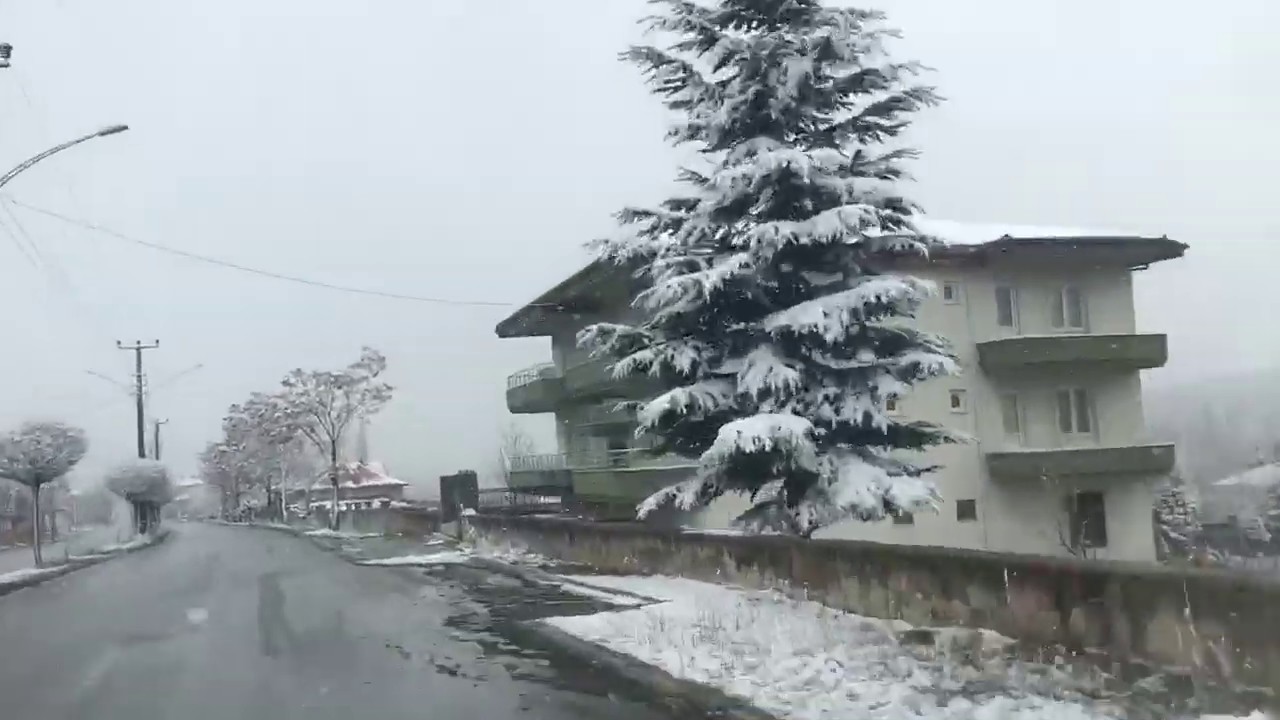 Özburun Arşivi Kekik Kokulu Yarim