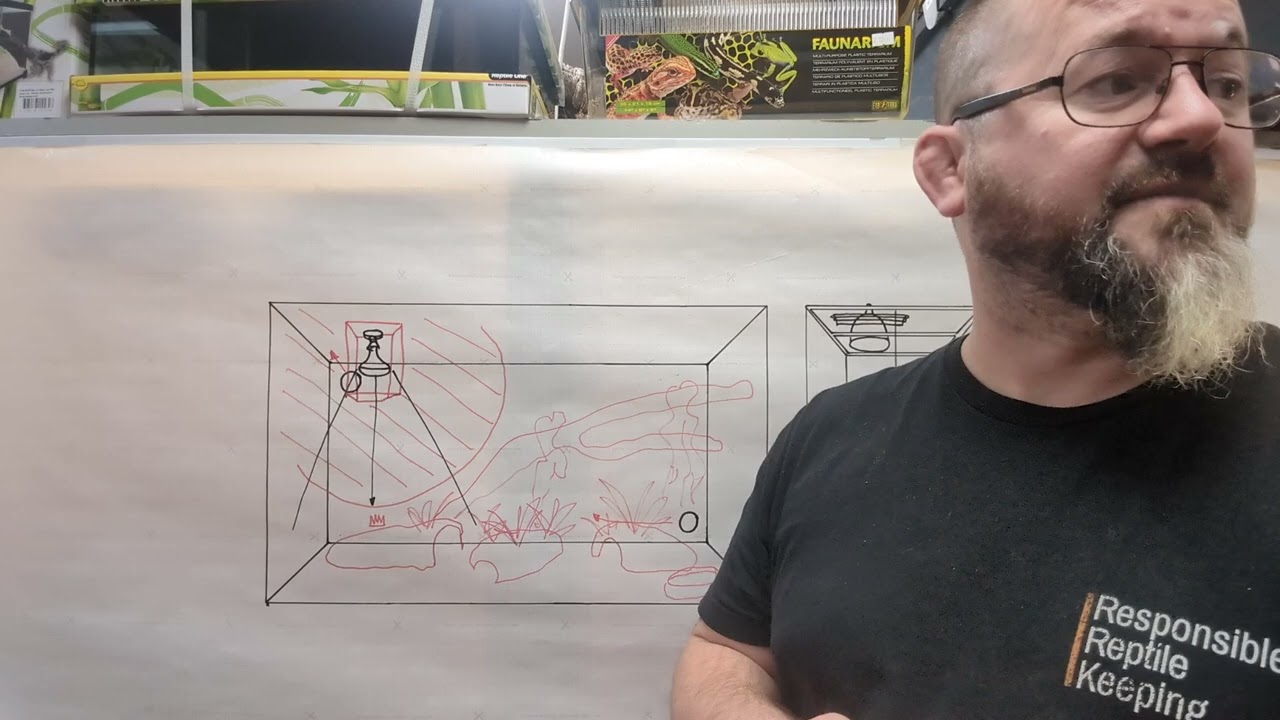 Snakes N Adders Reptile Advice: Thermostats and rigging out enclosures. part two. the stuff I forgot
