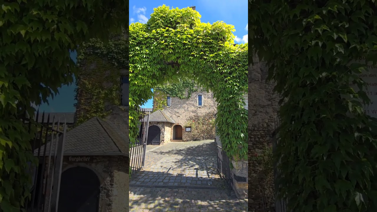 Altstadt und Burg Hattenheim 