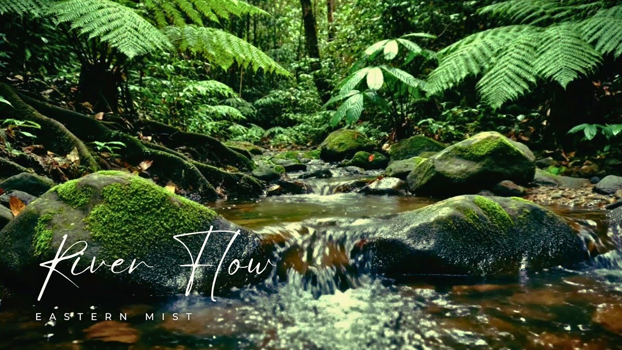 River Sounds for Sleep & Anxiety Relief | Natural Ambience (2 Hours)