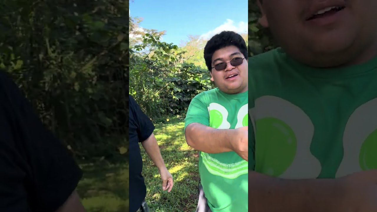 Aina university 3