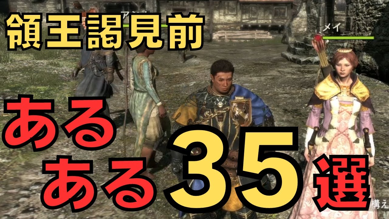 【ドラゴンズドグマダークアリズン】謁見前あるある35選【DDDA解説】