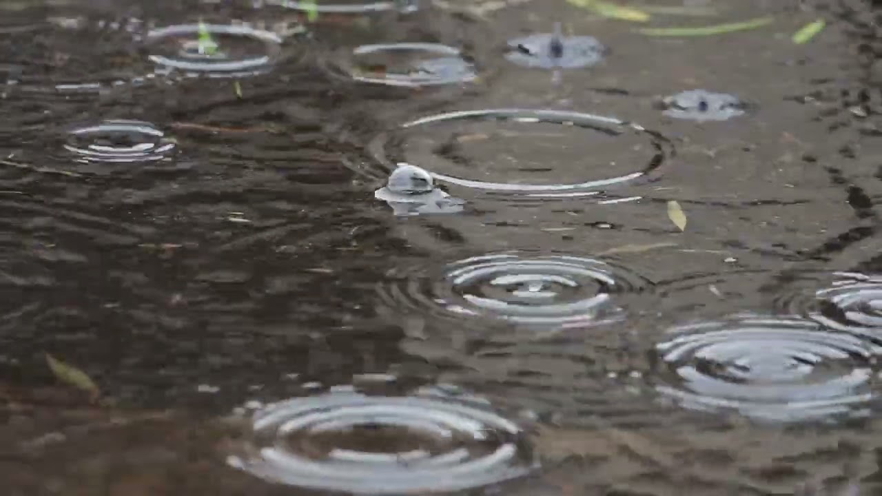 Soft Rai. Pure relaxation. Escape the noise. 🌊#sleepsounds #peace #relaxing #rain #backgroundmusic 