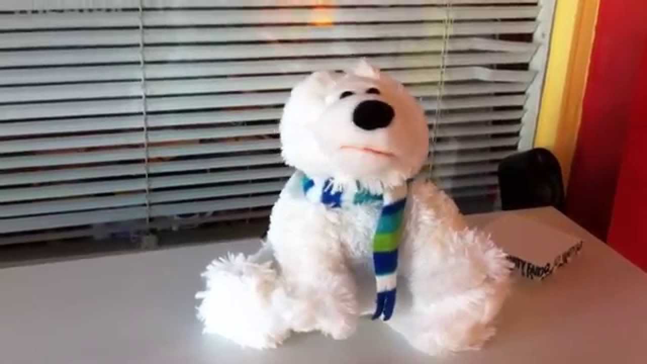 Kalle der Eisb&auml;r singt im 
