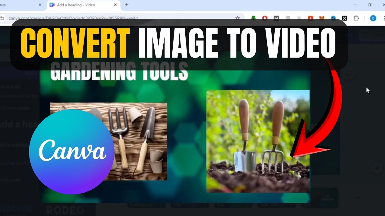 Как конвертировать изображение в видео в Canva | Простое пошаговое руководство