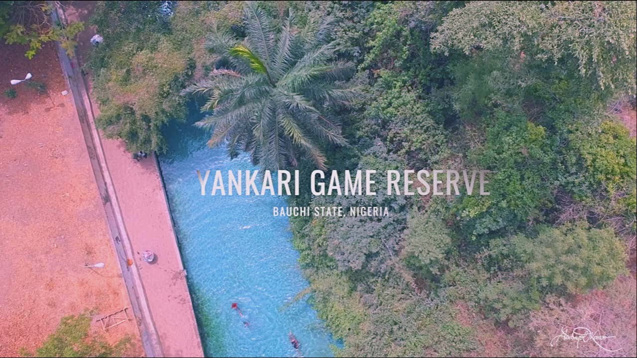 Explore Yankari Game Reserve