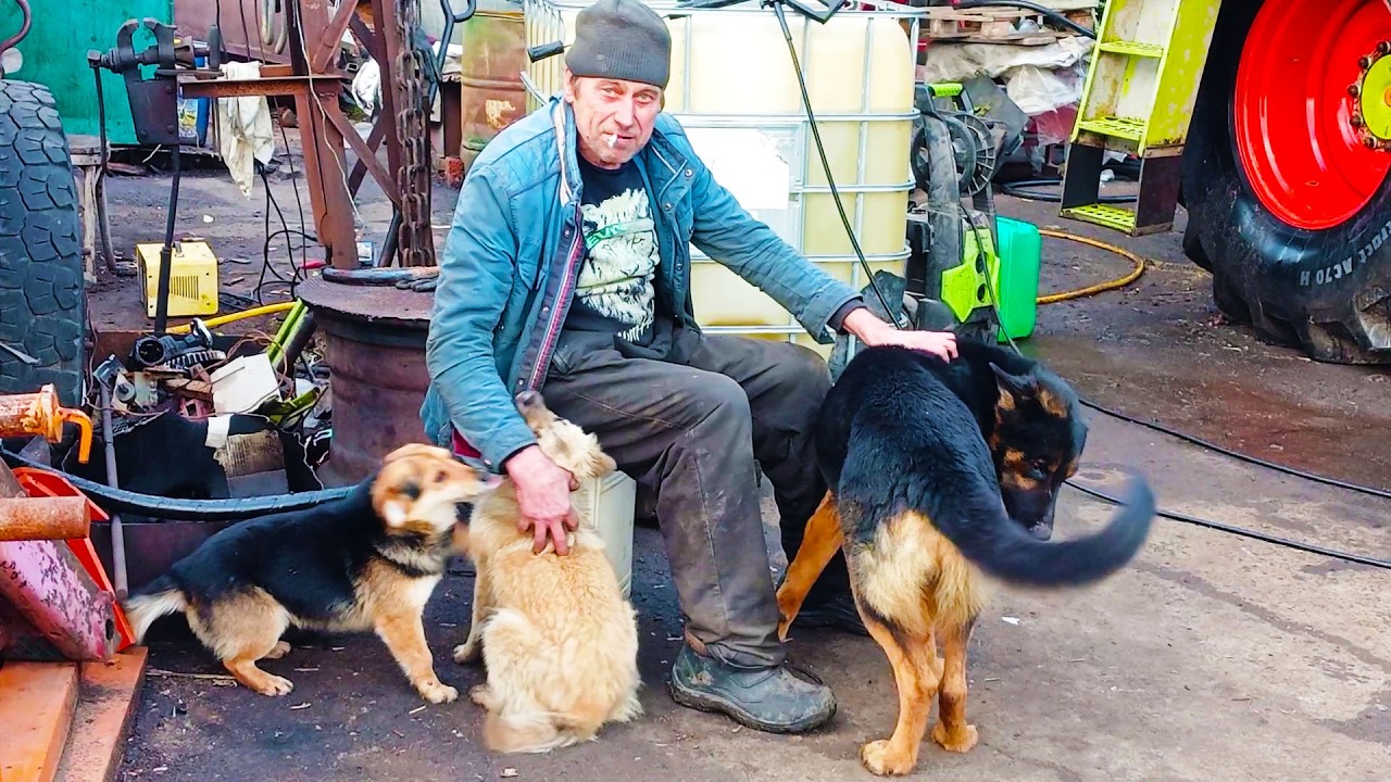 Тепла зустріч з друзями та інше.
