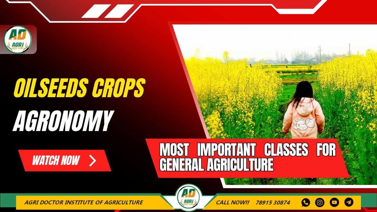 OILSEEDS CROPS || AGRONOMY || GENERAL AGRICULTURE  @AgriDoctorcoaching