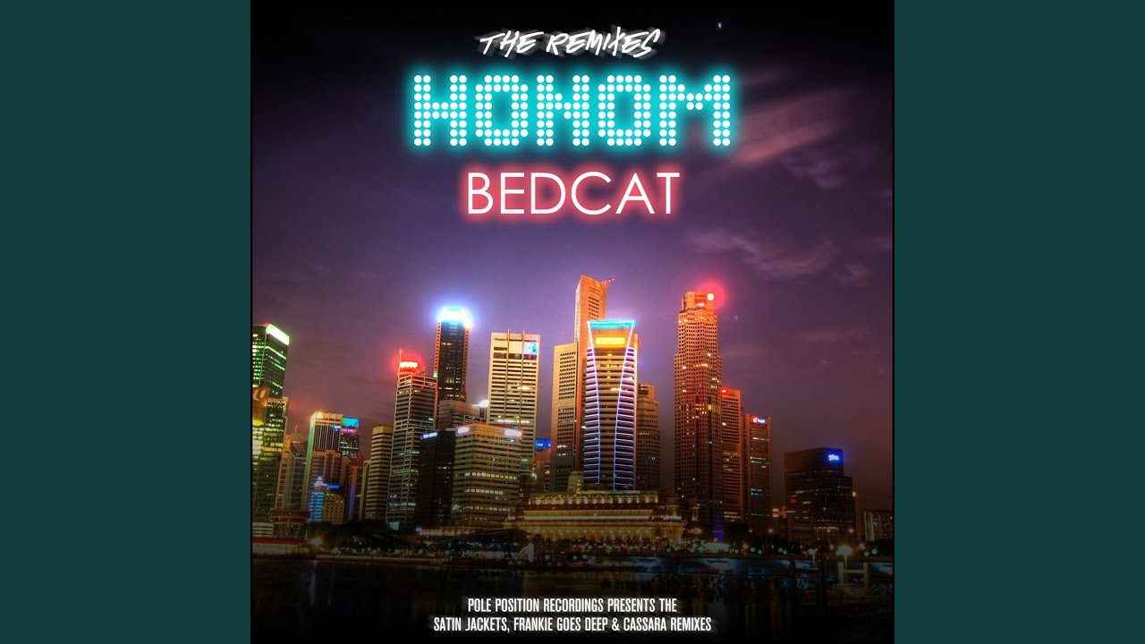 Bedcat (Satin Jackets Remix)