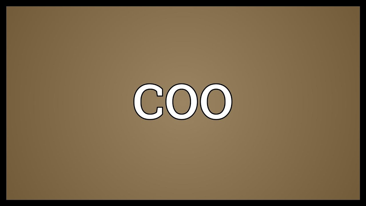 COO Meaning