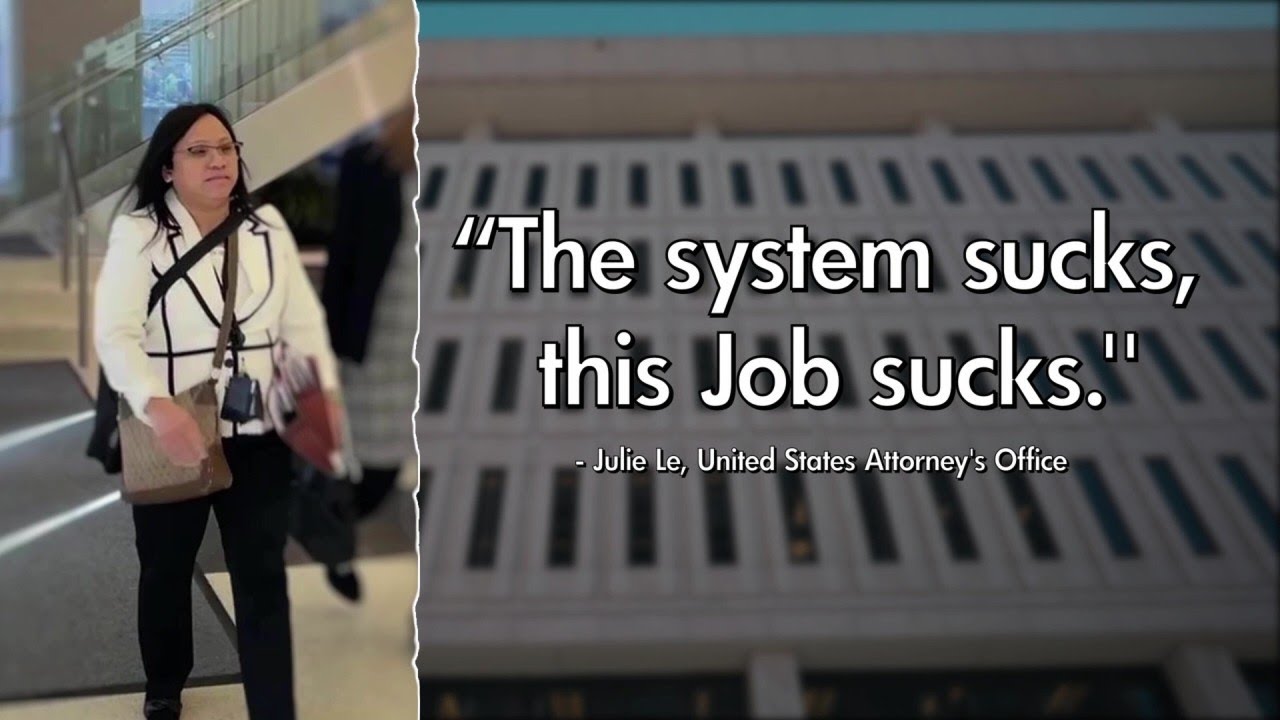 ICE attorney says the system, her job 'sucks' while in court