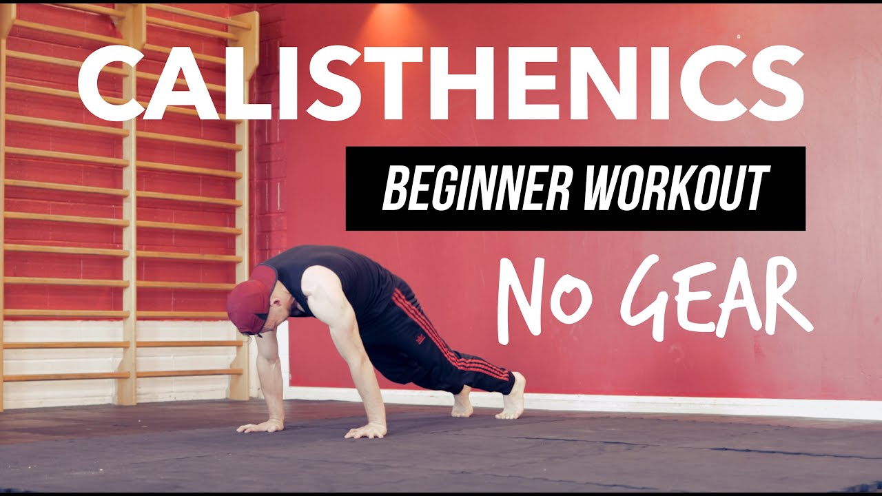 18 MINUTE CALISTHENICS 'BEGINNER' FOLLOW ALONG | NO EQUIPMENT