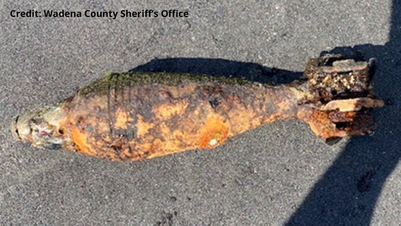 Bomb Squad Responds After Possibly Live Mortar Found Near Nimrod