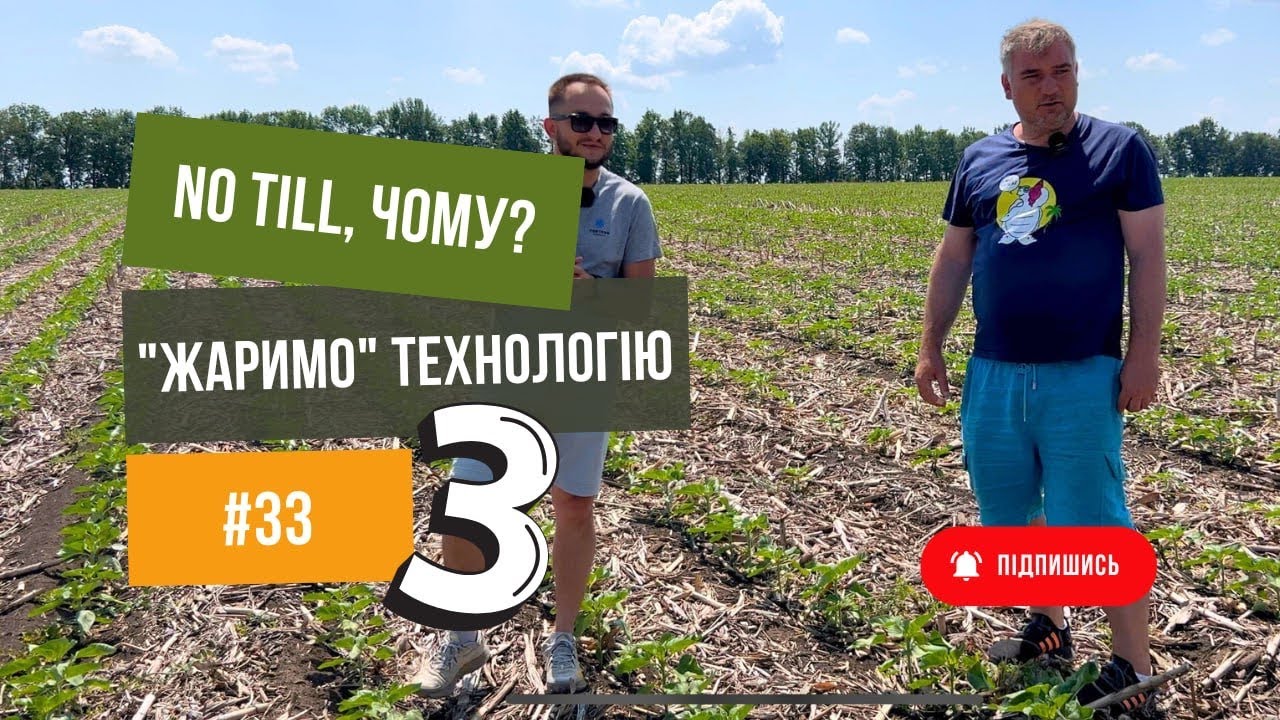 Соняшник 🌻 посів по технології No Till. Частина 3. Юрій Дробязко.