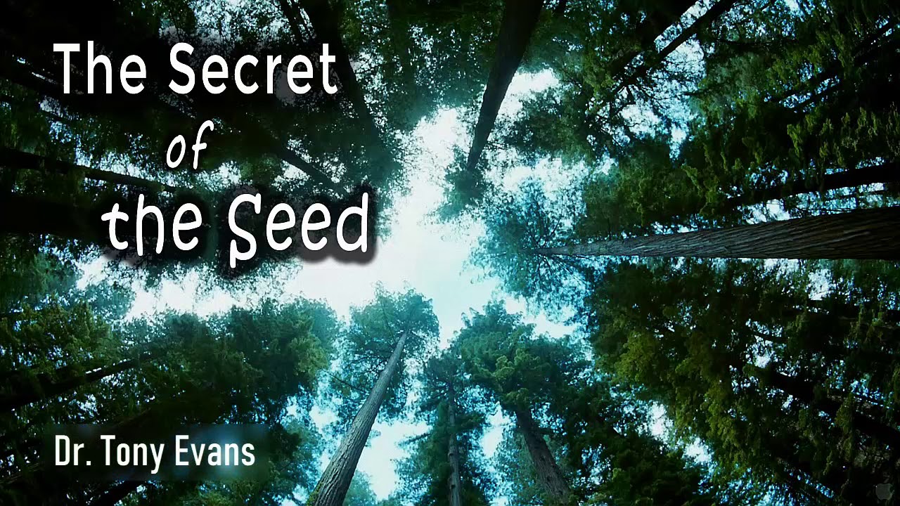 Dr Tony Evans | The Secret of the Seed. Nov, 04 - 2019