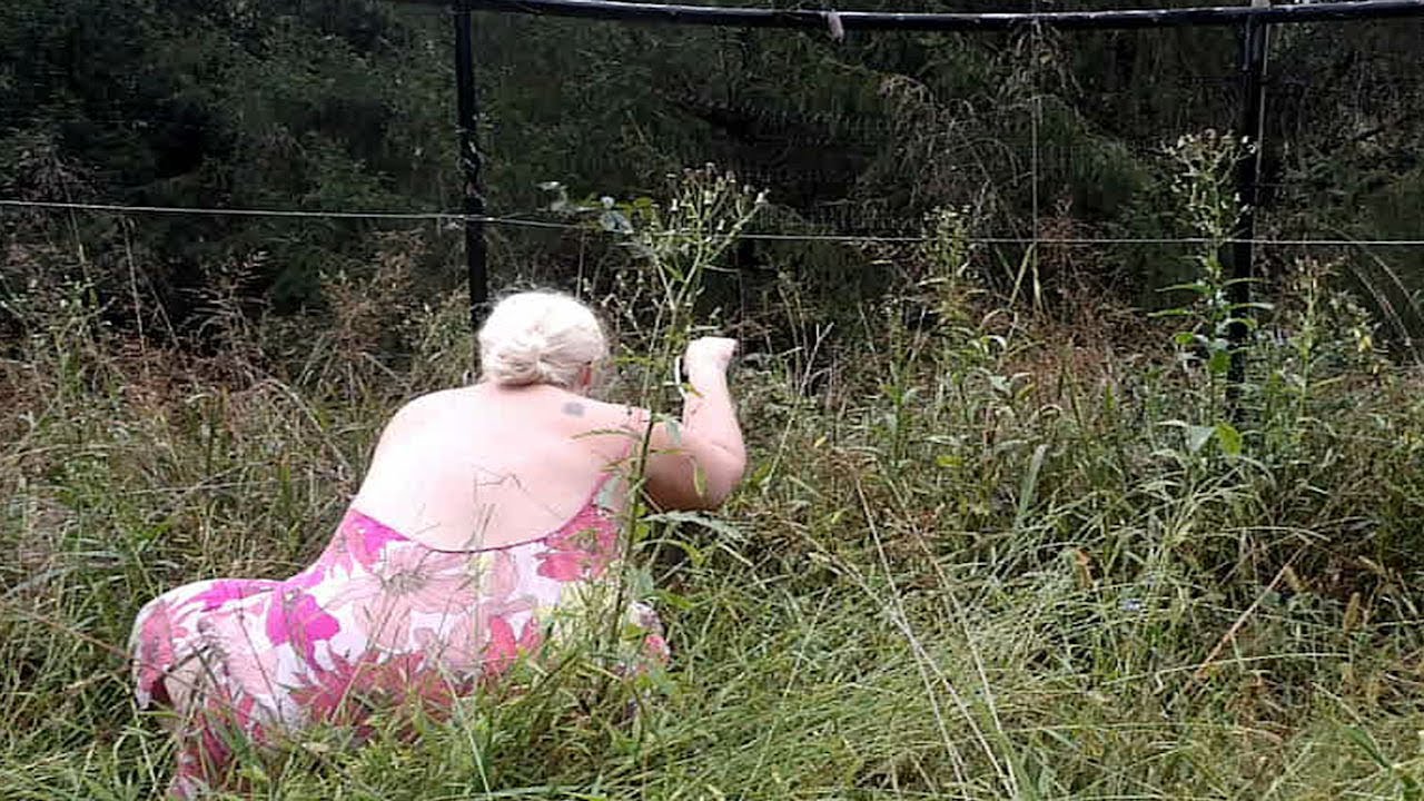 Finding Lost Plants and a Weedy Vegetable  Garden Tour