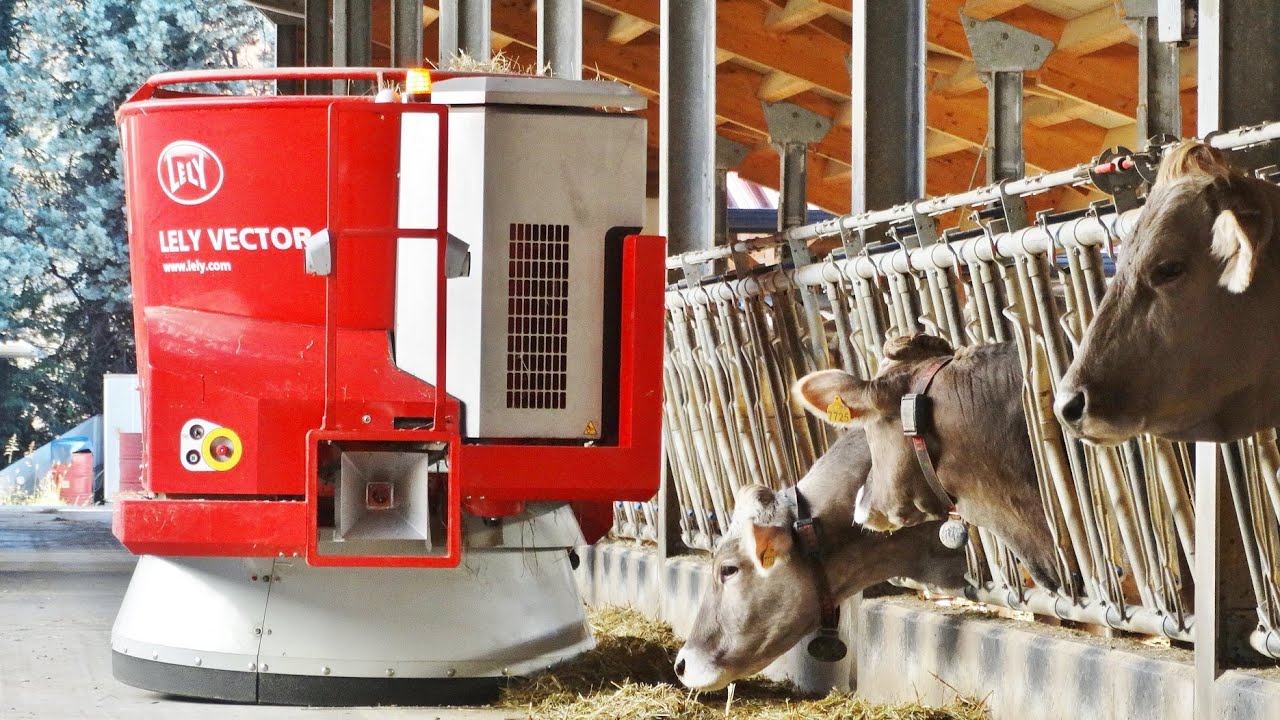 LELY VECTOR - Automatic Feeding System | ITALY