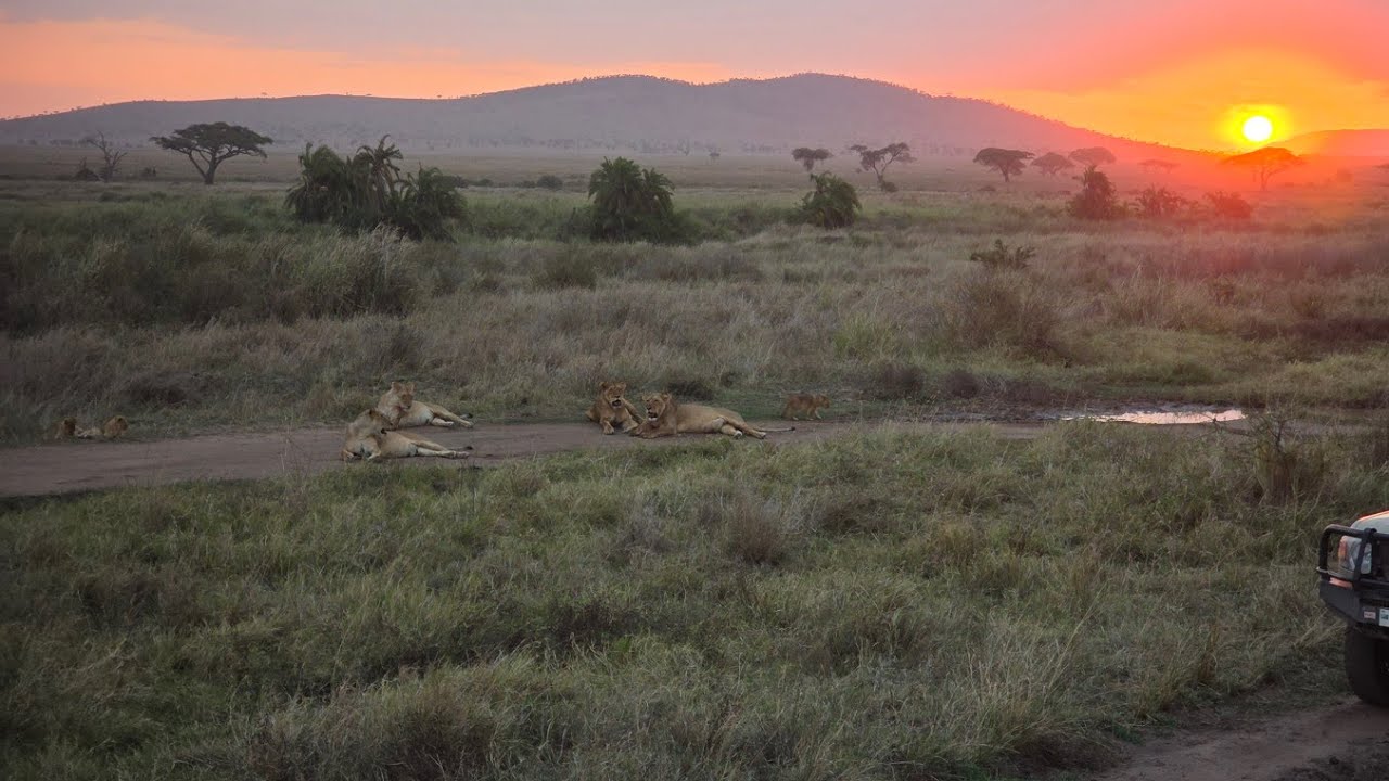 Kenya, Tanzania and Zanzibar in 21 days