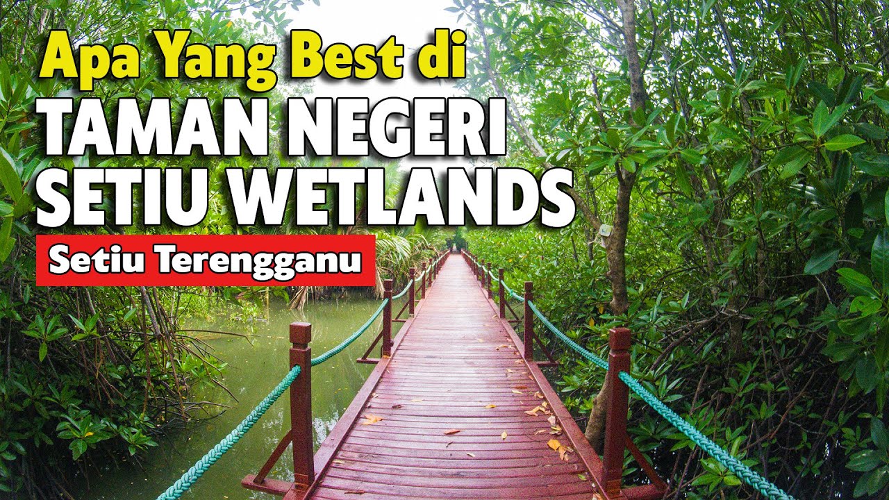 TAMAN NEGERI SETIU WETLANDS | BOARDWALK SETIU | TEMPAT MENARIK DI TERENGGANU, TEMPAT CANTIK DI SETIU