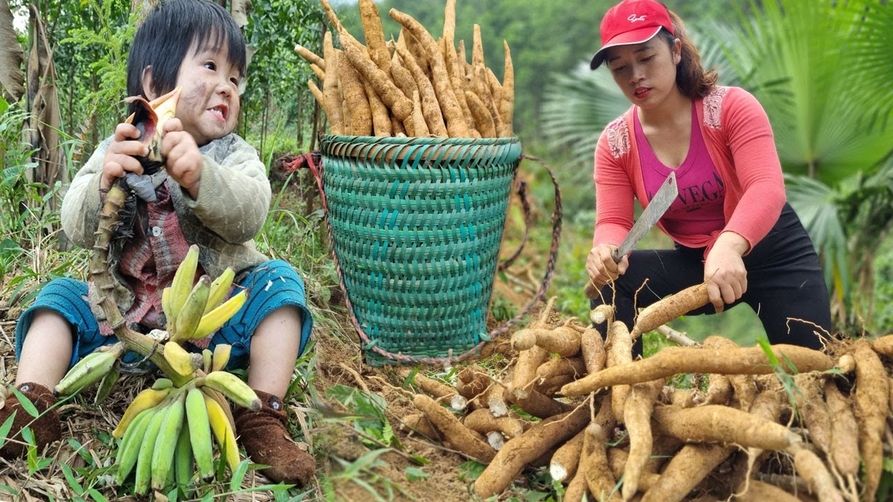 120 day harvest agricultural products to sell, The life of homeless girl and her mentally ill mother
