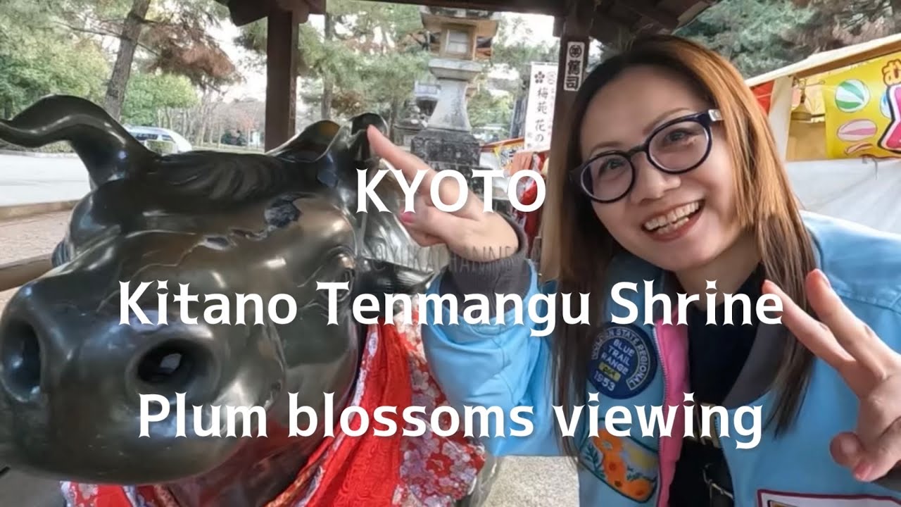 【KYOTO🌸🐃】Kitano Tenmangu Shrine with Plum blossoms viewing 