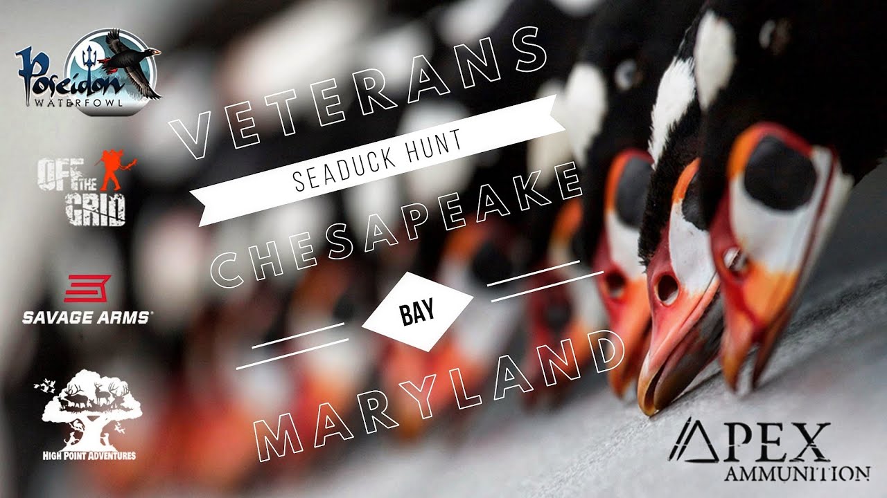 Chesapeake Bay Vets Seaduck Hunt '21