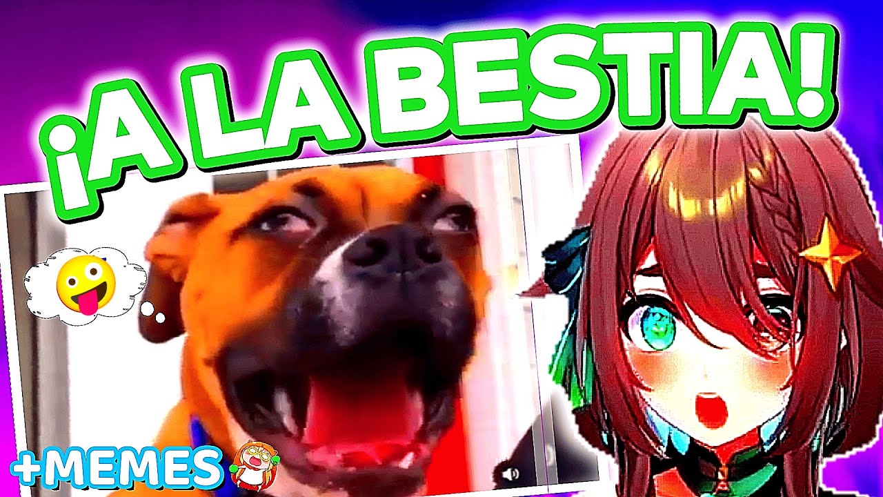 ¡A LA BESTIA! ¡¿Que le pasa a este perro?! - MEICA Reacción