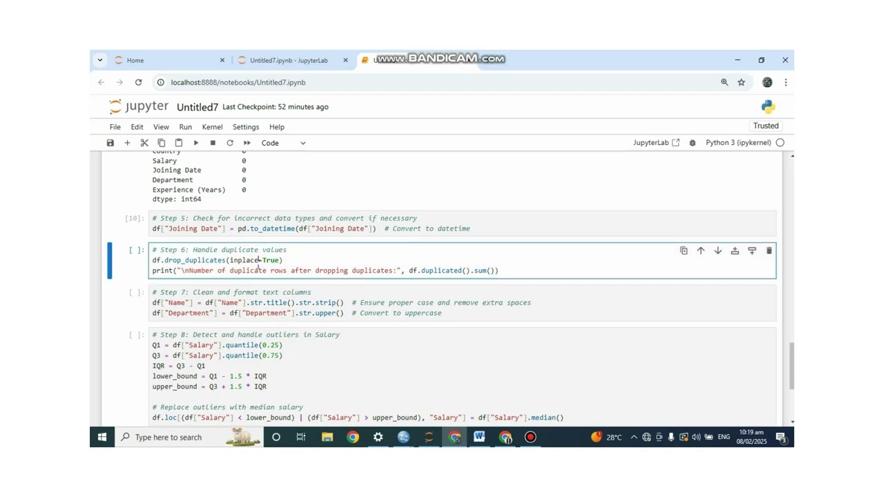 Data Cleaning in Python | WELL EXPLAINED