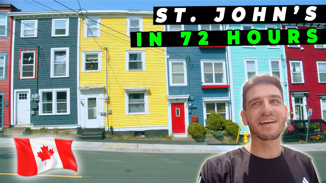72 Hours in St John's Newfoundland: Whales & City Sights 🇨🇦
