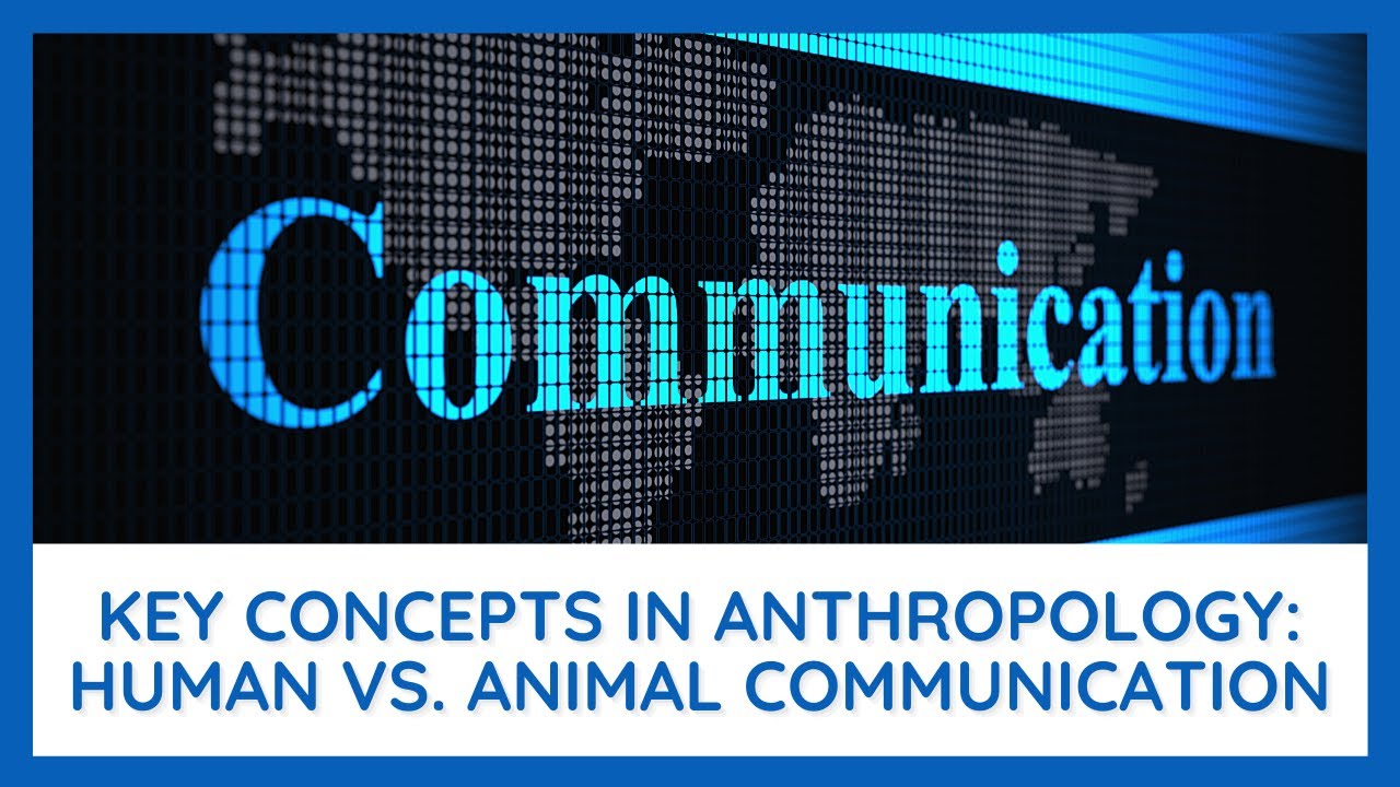 Key Concepts in Anthropology: Linguistic Anthropology - Human vs. Animal Communication