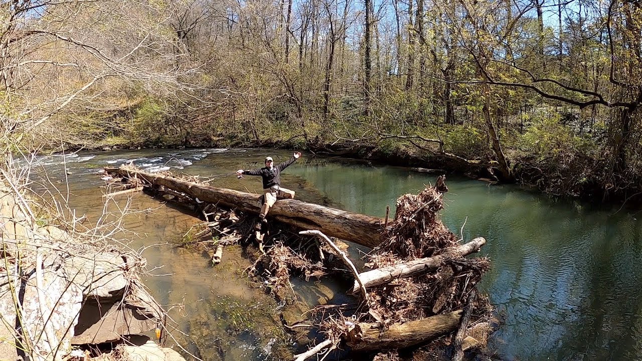 Tallapoosa Bass, Cahaba Bass and Warrior Bass with Dr. Andrew Taylor