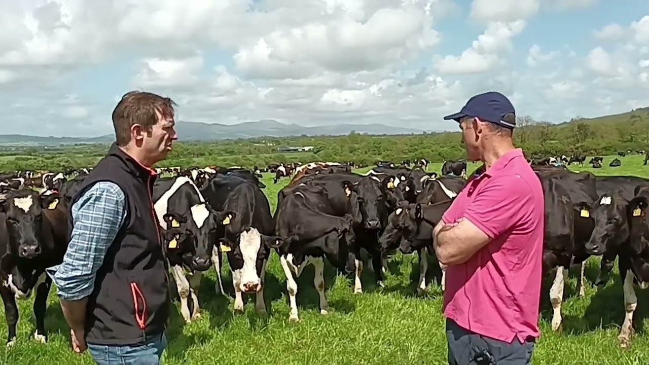 Breeding Series – Farmer Focus