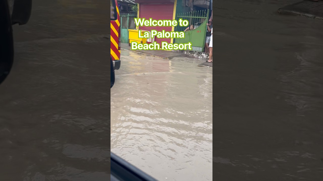 Flood is a Result of Denudation of Forests & Climate Change #flood #help #trending #youtubeshorts
