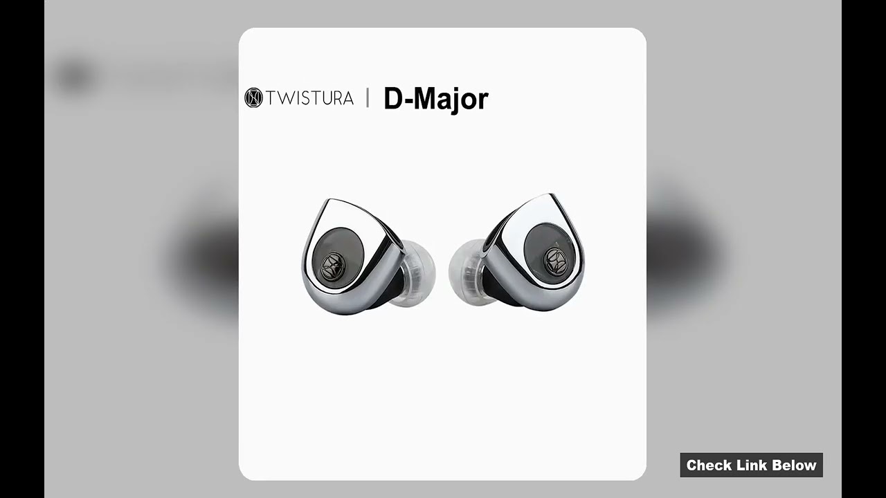 TWISTURA DMajor 10mm Dynamic Driver HiFi inEar Earphone DualChamber DualMagnetic Wired IEMs 078mm De