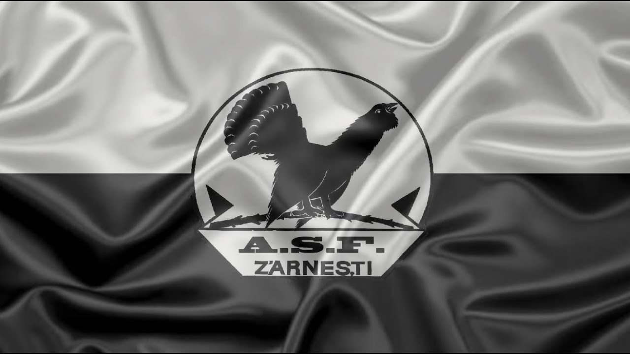 IMN CELULOZA ZĂRNEȘTI