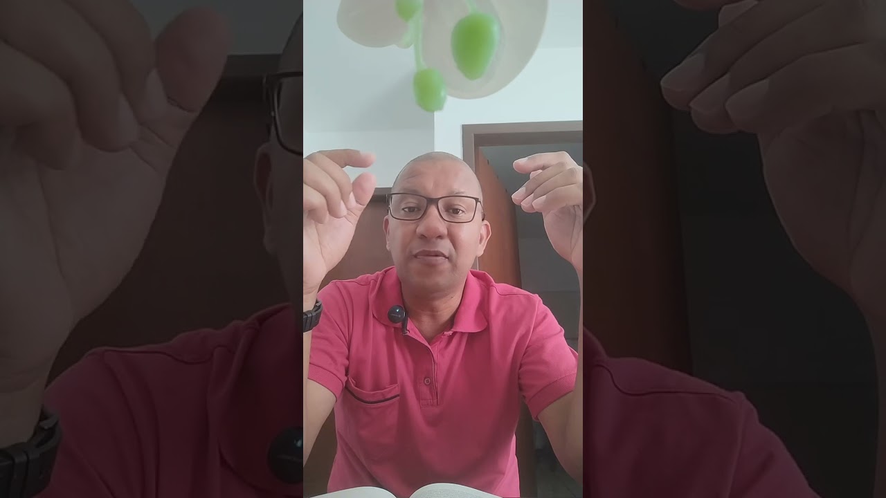 NUNCA DESISTA DO SEU PROJETO 