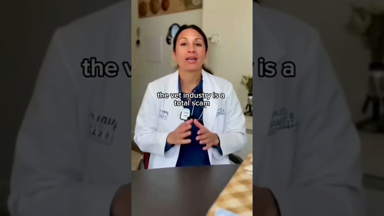 The vet industry is a total SCAM‼️🇺🇸#industry #scam #vet #dog #pets #usa