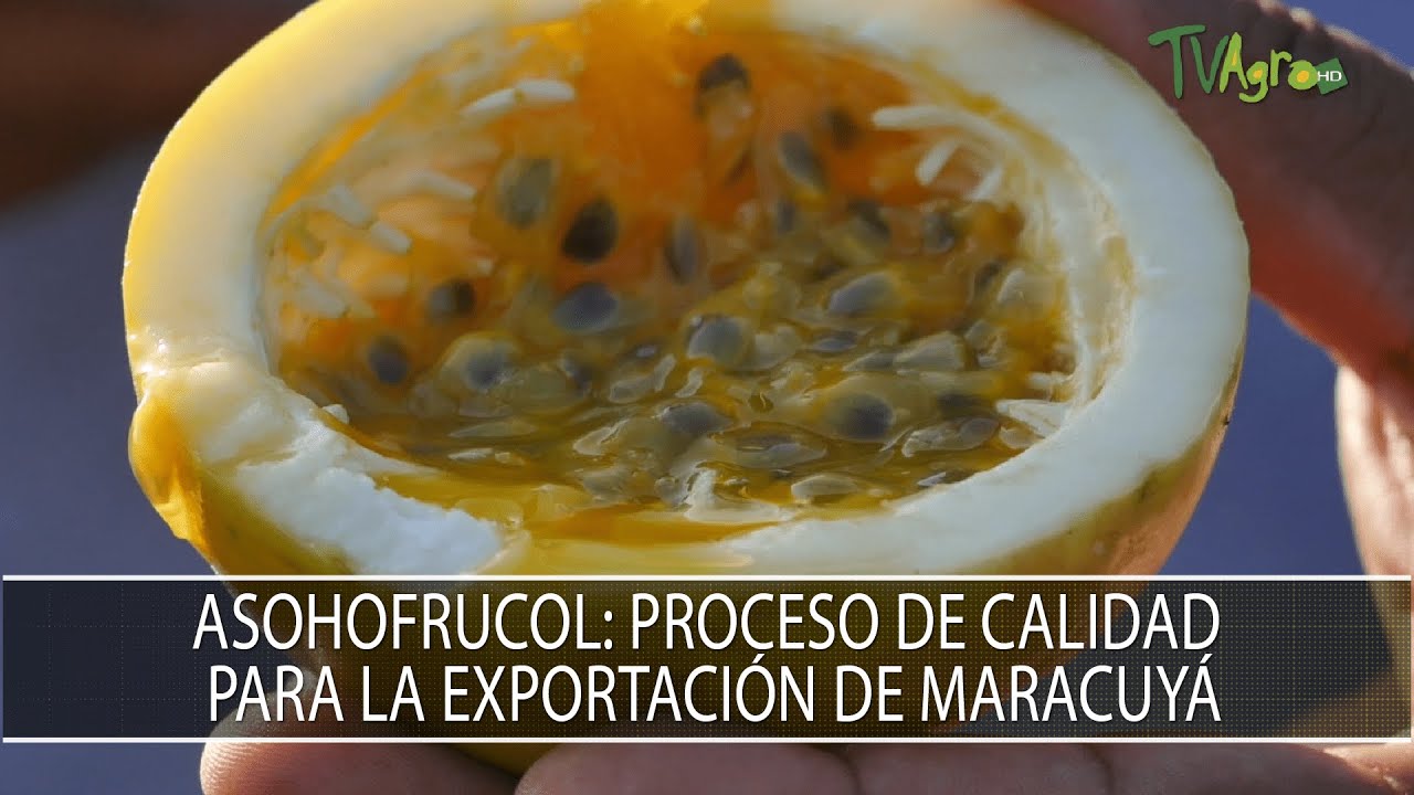 Asohofrucol: Proceso de calidad para la exportacion de maracuyá - TvAgro por Juan Gonzalo Angel