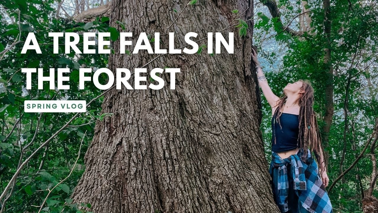 A tree falls in the forest… | Spring Vlog
