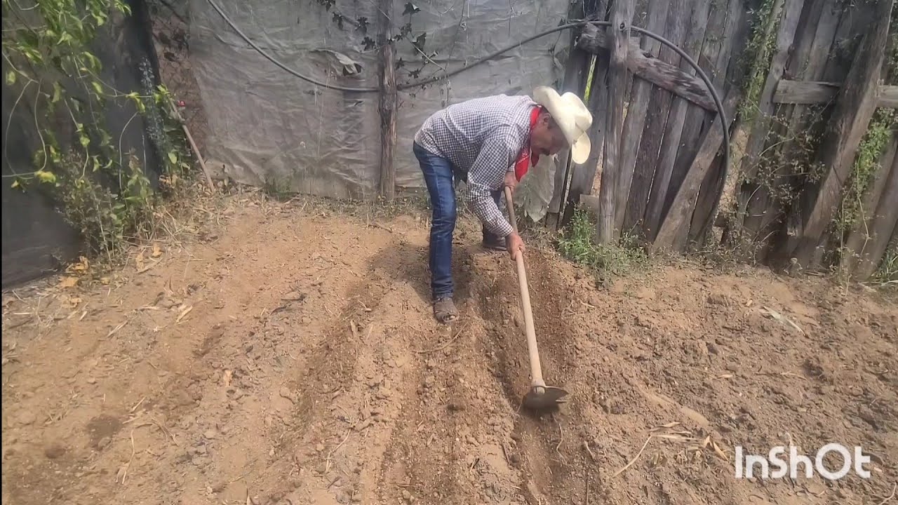 Miren lo que cocine después de la chamva