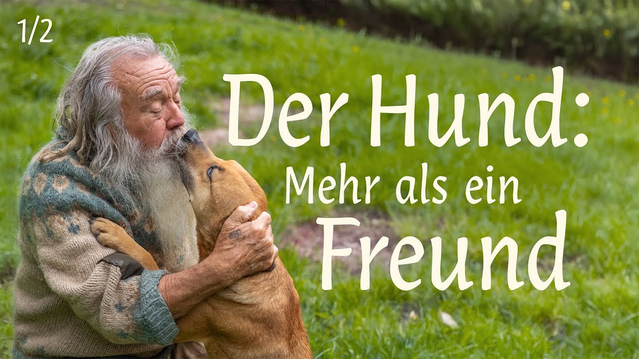 Wie Mensch und Hund Freunde wurden (Teil 1)